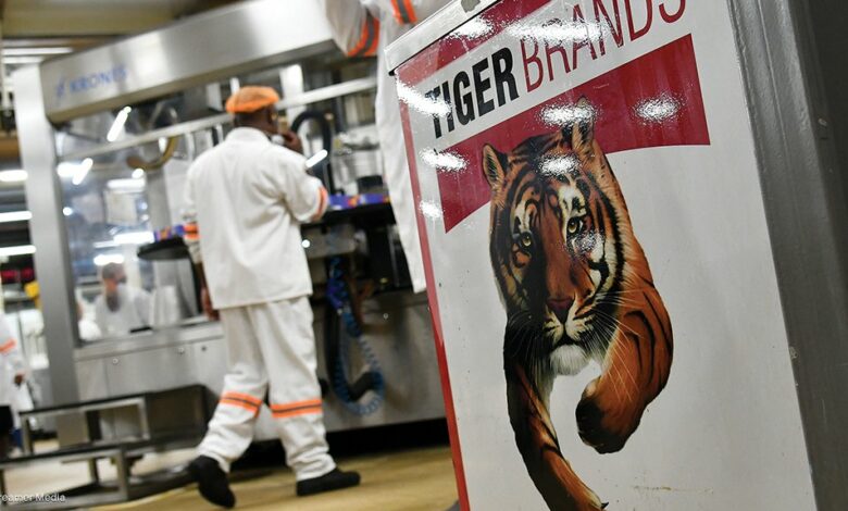 Tiger Brands Work Experience 2024