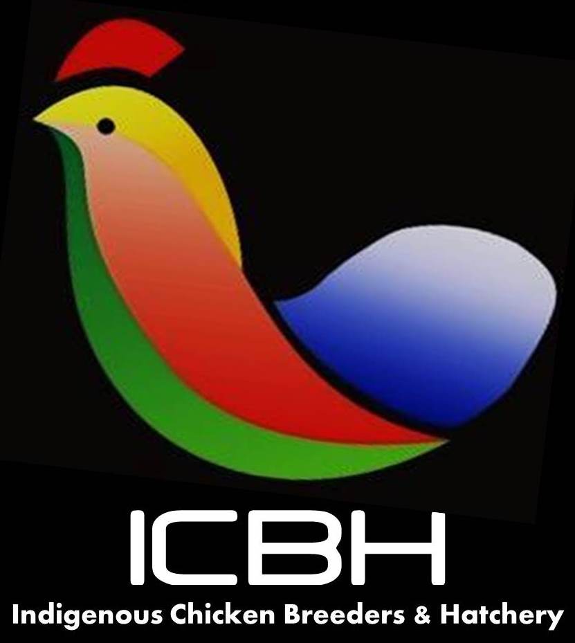 ICBH Is Hiring Eggs Packers