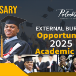 City Of Polokwane Bursaries for 2025